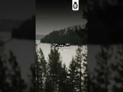 اخرتها اي وبعدين Mo243