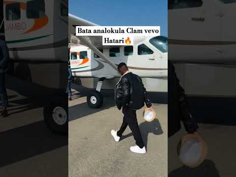 Clam Vevo Clamvevo Trendingshorts Amapiano Viralfypシ Viralvideo