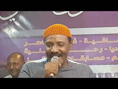 محمد حسن ديكور