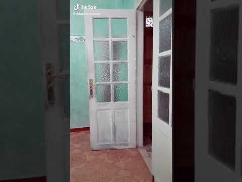 اغنية طيط طيط يا ماشينا اشبع ضحك