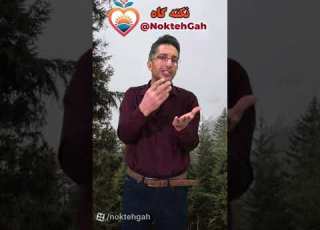 اکثرا حرام خود هستیم