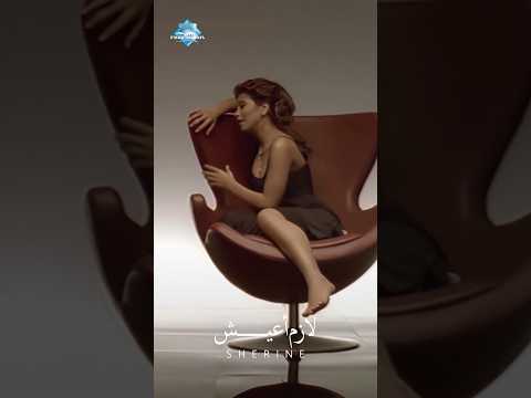 عايزة ألملم قلبي وأحضن نفسي وأمشي بعيد