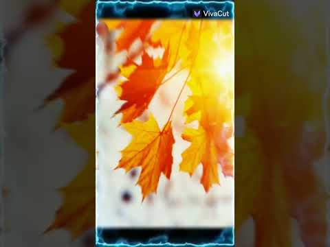 تصميم على ورق الخريف بيجنن