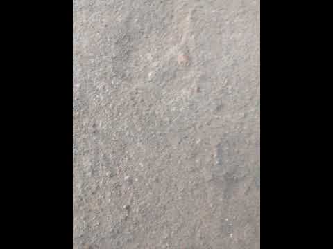 JIMINOGENI DOTTO HARUSI KWA NJIGE