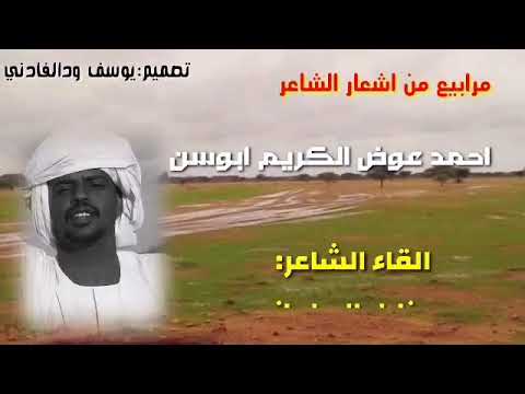 ود نايل البطحاني