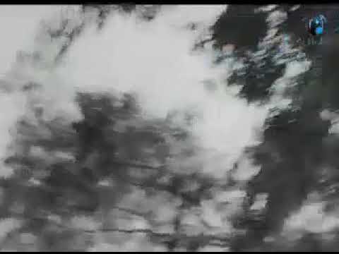 محمد رشدي بناديلك