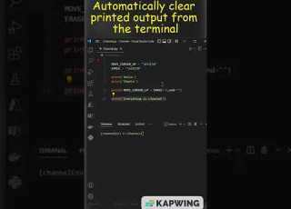 Automatically Clear Printed Output From Terminal Using Python