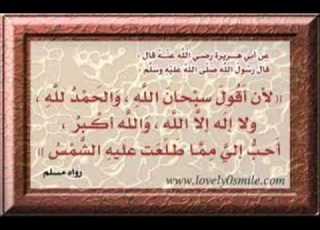  محمد سليمان المحيسني سورة غافر