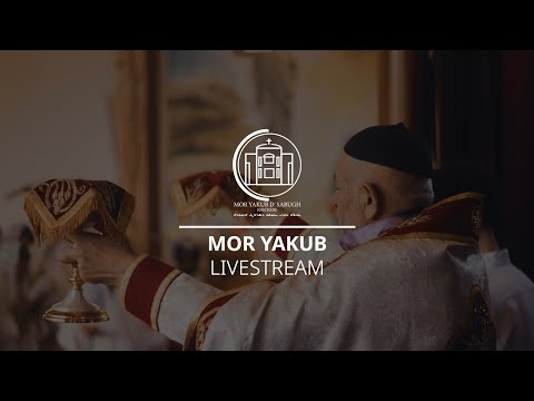 Shahro D Mor Yakub 2025