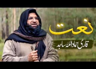  Meri Ulfat Madine Se Yunhi Nahi Emotional Naat Hammad Ullah Sajid