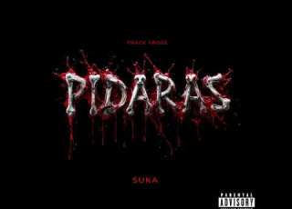  Frace Frose Pidaras YURI PIKE Remix