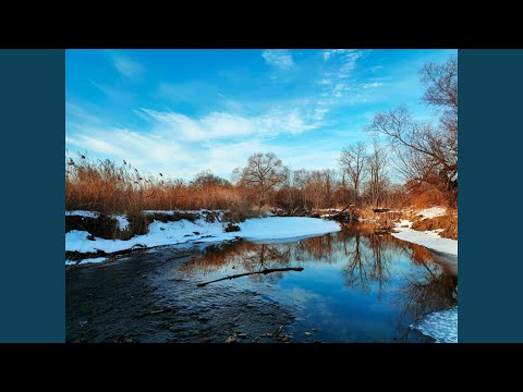 بلبس من جوتشى