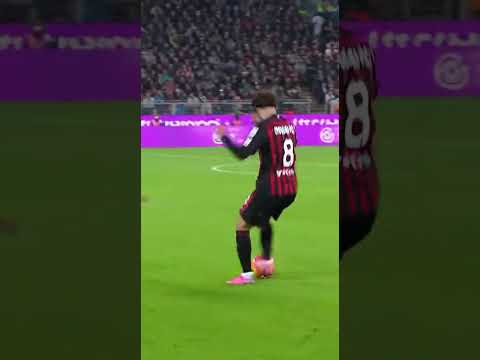 Content Media External Downloads 66342