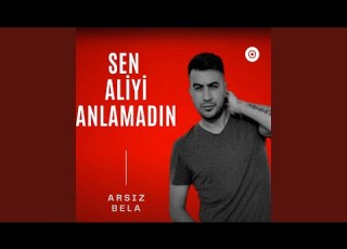 Sen Aliyi Anlamadın