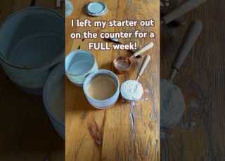 What Happens When You ABANDON Your Sourdough Starter For A Week