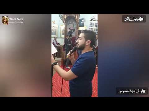 انجيل باكر ليلة ابو غلمسيس