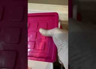 طريقه عمل ايس كريم اوريو