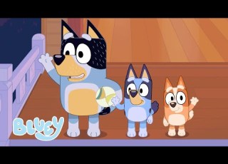 Fruit Bat Bedtime Bluey Season 1 Highlight Fruit Bat Bluey
