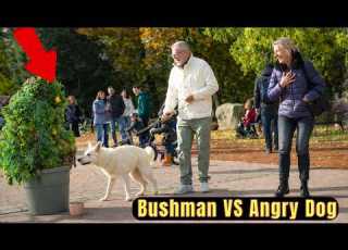 Boys Wasted Their Drinks On Bushman What Happened After