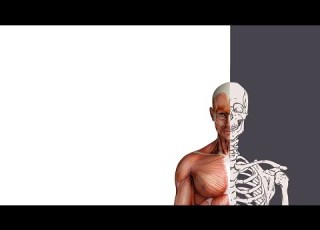  MSK Infections 1 Introduction