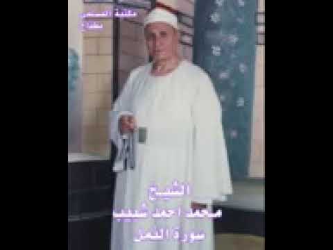 الشيخ محمد احمد شبيب سورة النمل من التسجيلات النادرة الشيخ محمد احمد شبيب سورة النمل من التسجيلات النادرة
