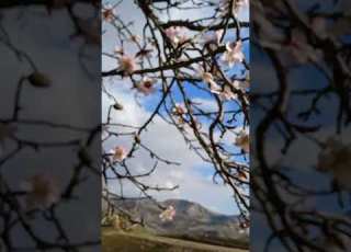  البادية المغربية تازه المغرب هدوء مطر Taza Tazakhabar Morocco