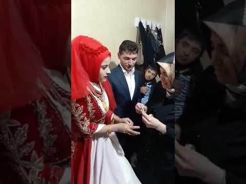 يلعن عين المجوز ويلعن اليريد الجيزة الفنان صلاح هليل