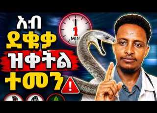ኣብ ውሽጢ 30 ደቂቃ ዝቀትለካ መርዛም ተመን ዓድና Haily Venomous Snake Black Mamba Eritreanmoviie Eritrian