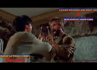  Shion All Fights Scenes Cynthia Rothrock And Andy Lau VS Richard Norton