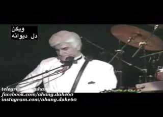  ویگن دل دیوانه