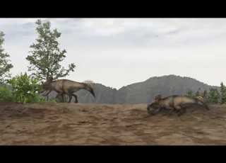  Protoceratops Sounds