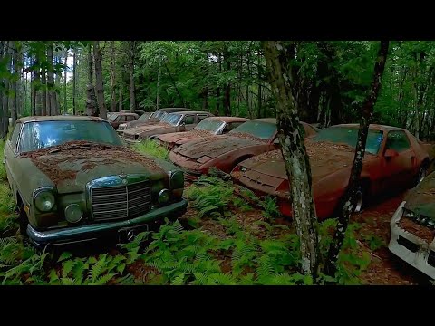 500 Ghost Abandoned Cars In Woods They Are Frozen In Time