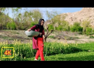 Rural Daily Life In Afghanistan What An Afghan Girl Do