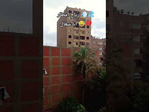 رياح امطار سيول انهار انا شغال Shorts Trending Viral امطار سيول حصل خير رياح امطار سيول انهار انا شغال Shorts Trending Viral امطار سيول حصل خير