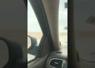  شيلة هب البراد
