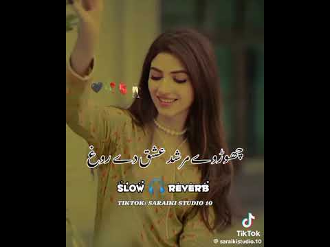 Chhod De Murshid Ishq Da Rog Matlabi Duniya Munafik Log Song