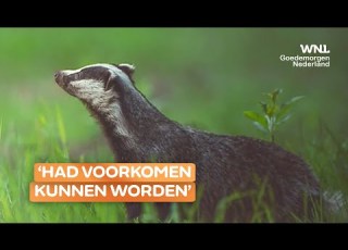 Dassen Slaan Op Meer Plekken Toe In Het Land Het Had Voorkomen Kunnen Worden