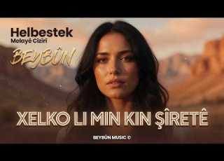  Xelqo Li Min Kin Şîretê Melayêcizîrî