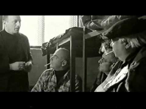 KURDI KACIS BEDI 0001