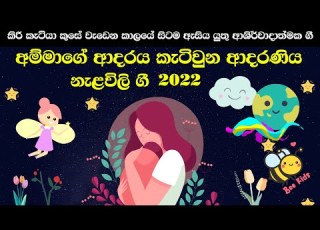 ආදරණ ය න ළව ල ග Nalavili Gee Sinhala 2022 Doi Doi Doiya Baba Nalawili Gee VOL 10
