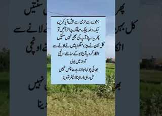 بہنوں سے نرمی سے پیش ایا کرو ورنہ کہتے ہیں لائٹر دو