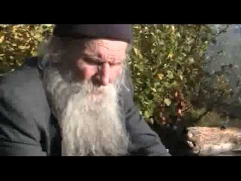 Дед архив Очерк по истории современного человечества