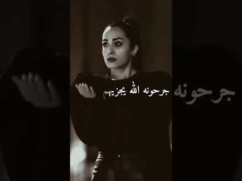 جورج وسوف ايه يا زمن وادي اللي حلمنا بيهم جورج وسوف ايه يا زمن وادي اللي حلمنا بيهم