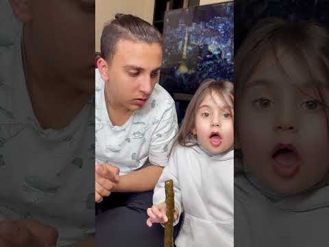 وبعدين مع سلطانه ودلول نبع الحنان Zico And Zer زيكو والزير