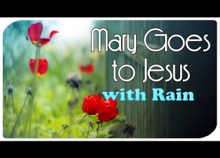  Mary Goes To Jesus With Rain