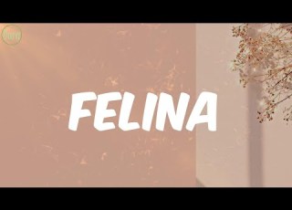 Hector Tito Felina Letra