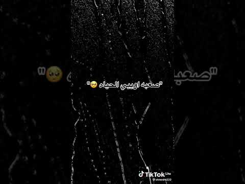 كل يوم بقول