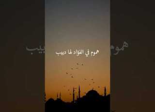  إلهي أنت تعلم كيف حالي مشاري العفاسي