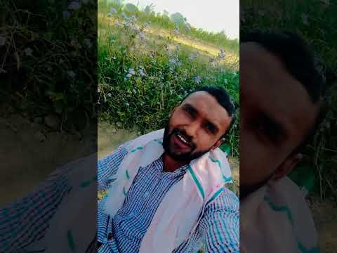 Are Nakhare Vali Na De Hamko Gali Song Love Hindisong Youtubeshorts