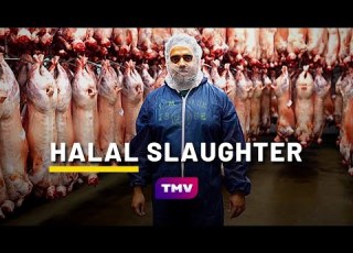 What Is HALAL SLAUGHTER QURBANI Halal Meat Farm Being Muslim